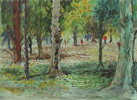 藏品(街景)的圖片