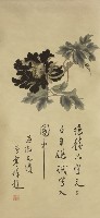 藏品(牡丹)的圖片