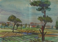 藏品(風景)的圖片