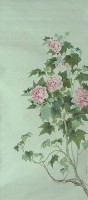 藏品(花卉(芙蓉))的圖片