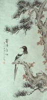 藏品(喜鵲)的圖片