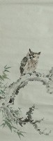 藏品(貓頭鷹)的圖片