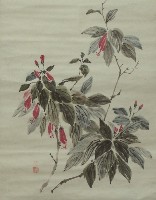 藏品(花)的圖片