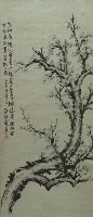 藏品(梅)的圖片