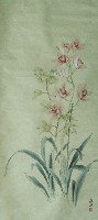 藏品(蘭)的圖片