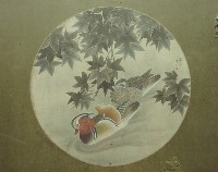 藏品(鴛鴦)的圖片