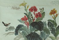 藏品(美人蕉)的圖片