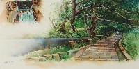 藏品(草山水道系統)的圖片