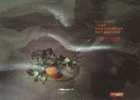 藏品(它沒有保險(10-5))的圖片