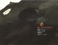 藏品(腳ㄚ子未必長在腳底下(10-6))的圖片