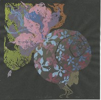 藏品(牠以為牠能飛)的圖片