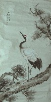 藏品(鶴)的圖片