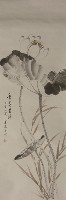 藏品(荷花)的圖片