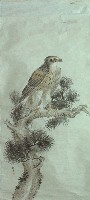 藏品(鷹)的圖片