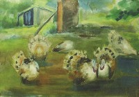 藏品(後院)的圖片