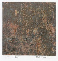 藏品(激流)的圖片