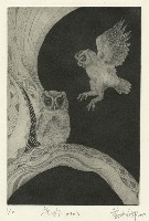 藏品(夜吟10103)的圖片