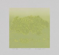 藏品(花)的圖片