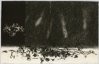 藏品(轉位'09-地-Ⅱ)的圖片