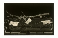 藏品(Paper and from wood)的圖片