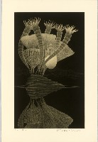 藏品(夜氣)的圖片