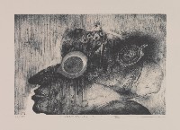 藏品(Weatherman M-1)的圖片