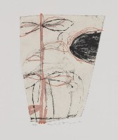 藏品(人)的圖片