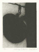 藏品(interroger 1, intensite 9 /Query the intensity)的圖片