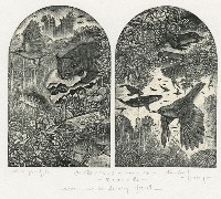 藏品(eden-2011.Ab. blooming forest)的圖片