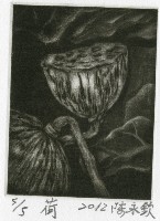 藏品(荷)的圖片