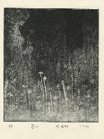 藏品(夢幻)的圖片