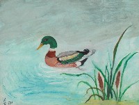 藏品(水中鵝)的圖片