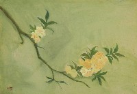 藏品(花卉)的圖片