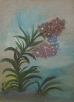 藏品(花卉)的圖片