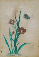 藏品(蘭花)的圖片