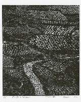 藏品(那片熱土)的圖片