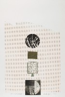 藏品(境竹禪風(二))的圖片