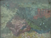 藏品(不詳)的圖片