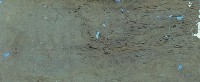 藏品(抽象)的圖片