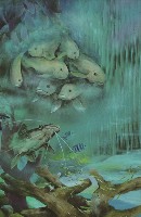 藏品(魚粉彩畫)的圖片