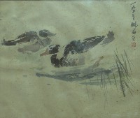 藏品(鴛鴦)的圖片