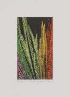 藏品(…Flock Together)的圖片