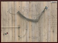 藏品(花非花2)的圖片