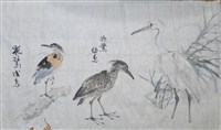 藏品(白鷺、夜鷺)的圖片