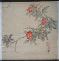 藏品(石榴花)的圖片