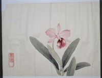 藏品(洋蘭-1)的圖片