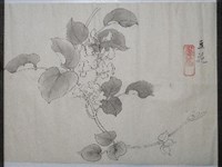 藏品(豆花)的圖片