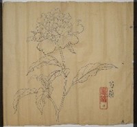 館藏編號:2024-01-0014的藏品圖