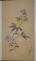 藏品(秋葵野菊)的圖片