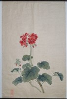 藏品(海棠)的圖片